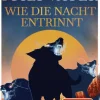 Knaur Taschenbuch Lgbtqia+ Jugendbücher|Urban Fantasy-Wie die Nacht entrinnt
