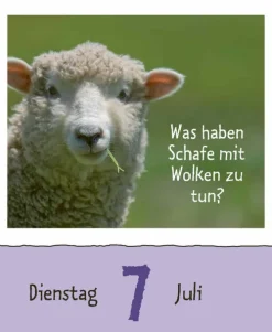 Korsch Verlag GmbH Abreiß-Kalender-Wie faul ist das Faultier? 2026