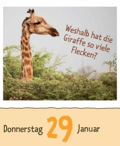 Korsch Verlag GmbH Abreiß-Kalender-Wie faul ist das Faultier? 2026