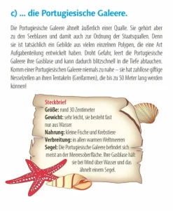 Korsch Verlag GmbH Abreiß-Kalender-Wie faul ist das Faultier? 2026