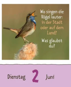 Korsch Verlag GmbH Abreiß-Kalender-Wie faul ist das Faultier? 2026