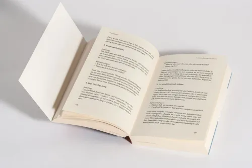 Mosaik Verlag Ratgeber|Gesellschaft-Wie kommt mein Kind gut durch die Schule?