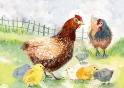 Don Bosco Medien GmbH Hobby & Lifestyle-Wie lebt das Huhn? Kamishibai Bildkartenset.