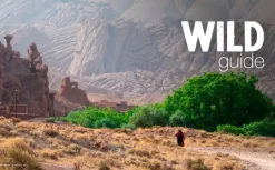 Haffmans & Tolkemitt Wandern & Radfahren|Camping-Wild Guide Marokko