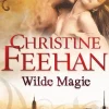 Wilde Magie*Heyne Verlag Sale