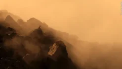 Wildlife Fotografien des Jahres - Portfolio 35*Knesebeck Von Dem GmbH