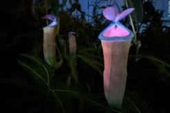 Wildlife Fotografien des Jahres - Portfolio 35*Knesebeck Von Dem GmbH