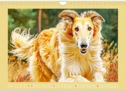 Calvendo Wandkalender*Windhunde. Seelenflüsterer zwischen Anmut, Tempo und Stille (Wandkalender 2026 DIN A4 quer), Monatskalender