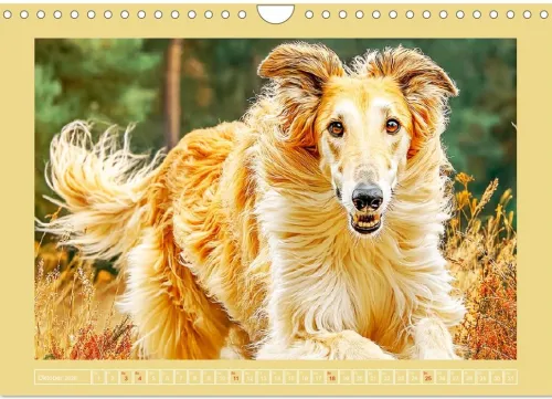 Calvendo Wandkalender*Windhunde. Seelenflüsterer zwischen Anmut, Tempo und Stille (Wandkalender 2026 DIN A4 quer), Monatskalender
