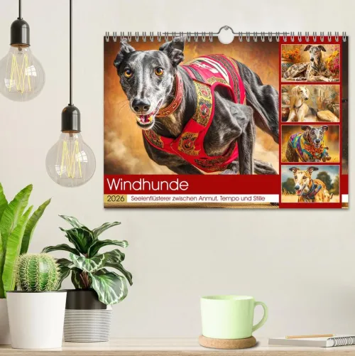 Calvendo Wandkalender*Windhunde. Seelenflüsterer zwischen Anmut, Tempo und Stille (Wandkalender 2026 DIN A4 quer), Monatskalender