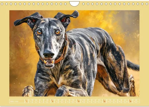 Calvendo Wandkalender*Windhunde. Seelenflüsterer zwischen Anmut, Tempo und Stille (Wandkalender 2026 DIN A4 quer), Monatskalender