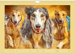 Calvendo Wandkalender*Windhunde. Seelenflüsterer zwischen Anmut, Tempo und Stille (Wandkalender 2026 DIN A4 quer), Monatskalender