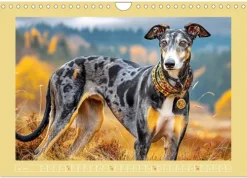 Calvendo Wandkalender*Windhunde. Seelenflüsterer zwischen Anmut, Tempo und Stille (Wandkalender 2026 DIN A4 quer), Monatskalender