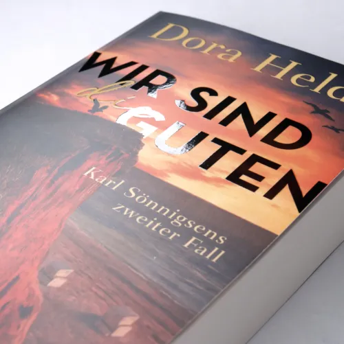 dtv Verlagsgesellschaft Humor|Privatdetektive*Wir sind die Guten