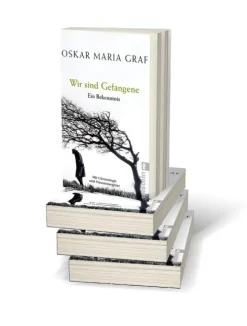 Ullstein Taschenbuchvlg. Literatur & Kunst-Wir sind Gefangene