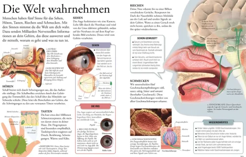 Dorling Kindersley Verlag 6-10 Jahre*Wissen für clevere Kids