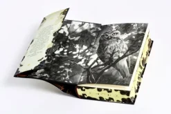 Penguin Verlag Romantasy|Urban Fantasy-Witches of Deadly Sins