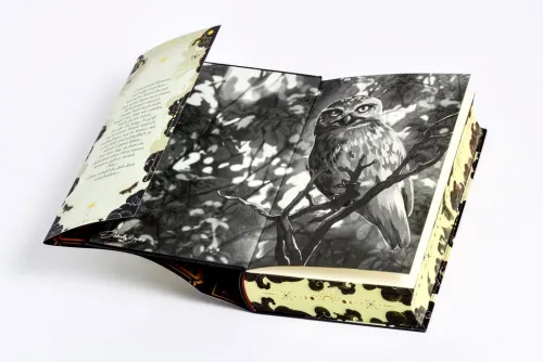 Penguin Verlag Romantasy|Urban Fantasy-Witches of Deadly Sins