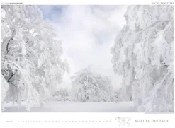 Edition Panorama GmbH Immerwährender Kalender-WÄLDER DER ERDE