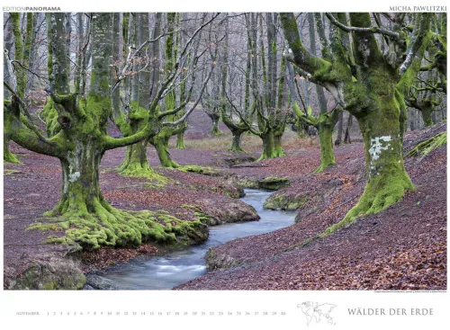Edition Panorama GmbH Immerwährender Kalender-WÄLDER DER ERDE
