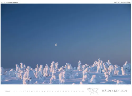 Edition Panorama GmbH Immerwährender Kalender-WÄLDER DER ERDE