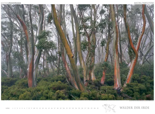 Edition Panorama GmbH Immerwährender Kalender-WÄLDER DER ERDE
