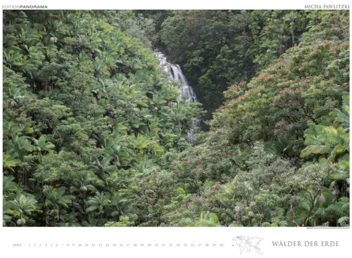 Edition Panorama GmbH Immerwährender Kalender-WÄLDER DER ERDE