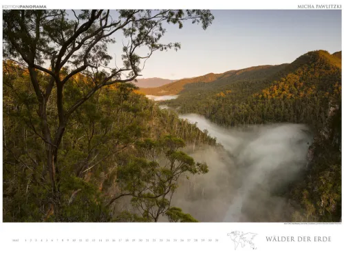 Edition Panorama GmbH Immerwährender Kalender-WÄLDER DER ERDE