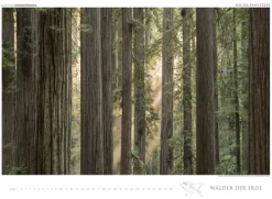 Edition Panorama GmbH Immerwährender Kalender-WÄLDER DER ERDE