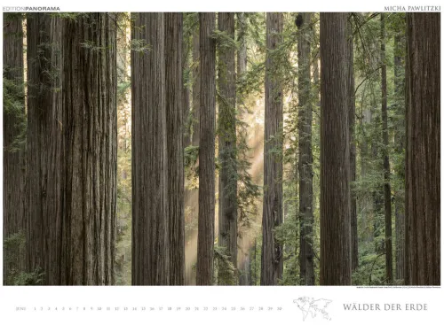 Edition Panorama GmbH Immerwährender Kalender-WÄLDER DER ERDE