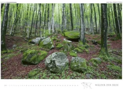 Edition Panorama GmbH Immerwährender Kalender-WÄLDER DER ERDE