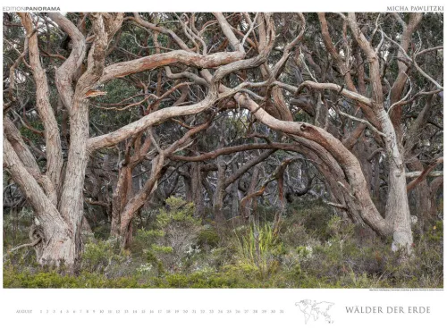 Edition Panorama GmbH Immerwährender Kalender-WÄLDER DER ERDE