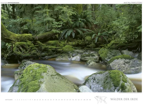 Edition Panorama GmbH Immerwährender Kalender-WÄLDER DER ERDE