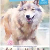 Calvendo Wandkalender-Wölfe. Zarte Aquarelle von beeindruckenden Tieren (Wandkalender 2026 DIN A3 hoch), Monatskalender
