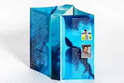 heartlines Biografische Romane*Wo der Sturm uns findet - Based on René's Story