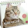Wochenkalender 2026: Kluge Katzen*Groh Verlag Discount