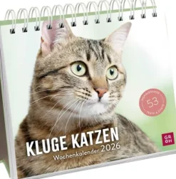 Wochenkalender 2026: Kluge Katzen*Groh Verlag Discount