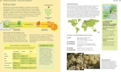 Dorling Kindersley Verlag Wein & Getränke-Workshop Wein