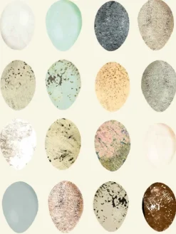 Wunderbare Natur*Prestel Verlag