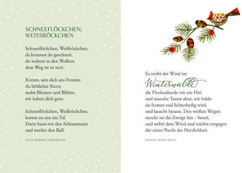 Coppenrath Weihnachten Kochen & Backen*Wunderschöne Winterzeit