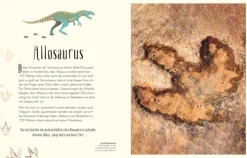 Dorling Kindersley Verlag 6-10 Jahre*Wundervolle Welt der Dinosaurier und der Urzeit