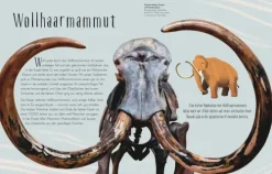 Dorling Kindersley Verlag 6-10 Jahre*Wundervolle Welt der Dinosaurier und der Urzeit