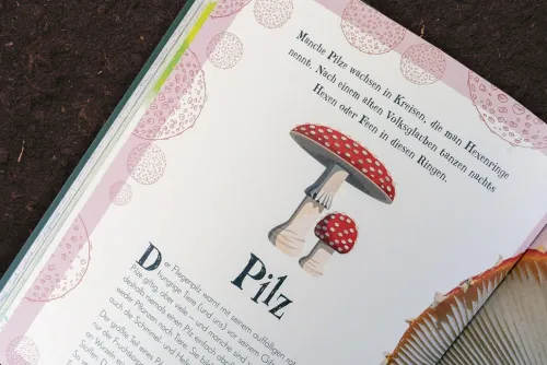 Wundervolle Welt der Natur*Dorling Kindersley Verlag