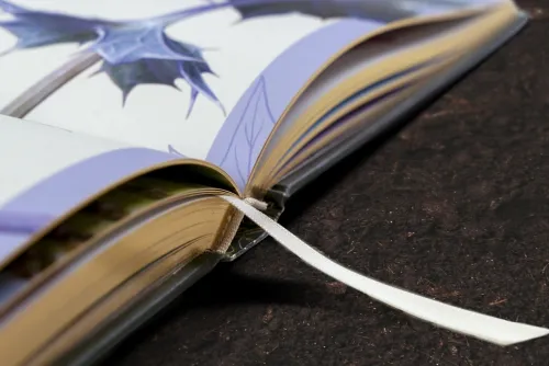 Wundervolle Welt der Natur*Dorling Kindersley Verlag