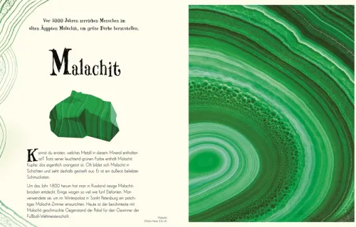 Wundervolle Welt der Natur*Dorling Kindersley Verlag