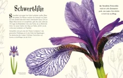 Wundervolle Welt der Natur*Dorling Kindersley Verlag