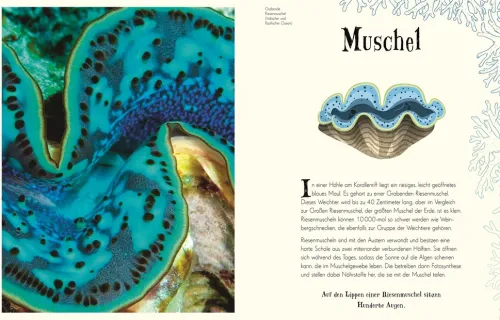 Wundervolle Welt der Natur*Dorling Kindersley Verlag