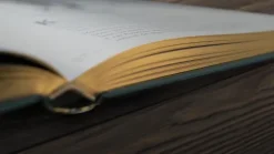 Wundervolle Welt der Tiere*Dorling Kindersley Verlag Clearance