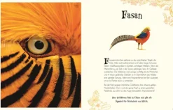 Wundervolle Welt der Tiere*Dorling Kindersley Verlag Clearance