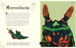 Wundervolle Welt der Tiere*Dorling Kindersley Verlag Clearance